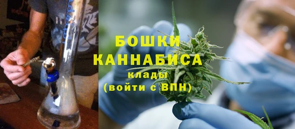 гашик Бежецк