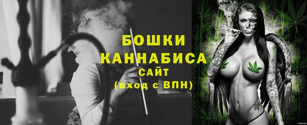 молекула духа Магадан