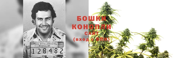 Альфа ПВП Белая Холуница