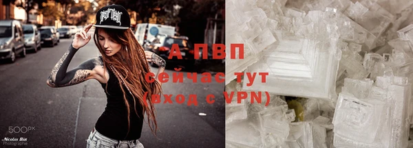 молекула духа Магадан