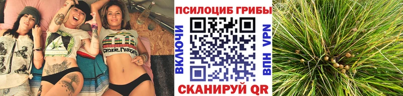 Галлюциногенные грибы Magic Shrooms  Назарово 